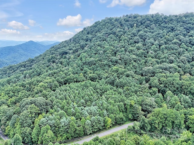 Listing photo 3 for TBD Walnut Creek Rd, Marshall NC 28753