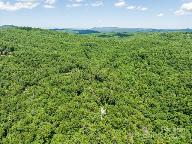78 Smiling Fox Trl, Brevard, NC 28712 - bird's eye view of a mountainous background