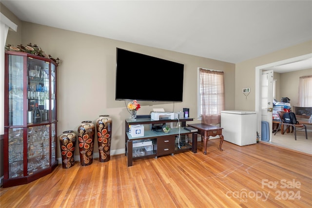 living room featuring light hardwood / wood-style flooring