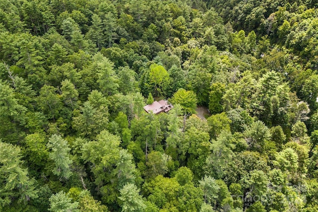 1265 Stackhouse Rd, Marshall, NC 28753 - photo 33