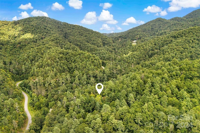 1265 Stackhouse Rd, Marshall, NC 28753 - photo 34