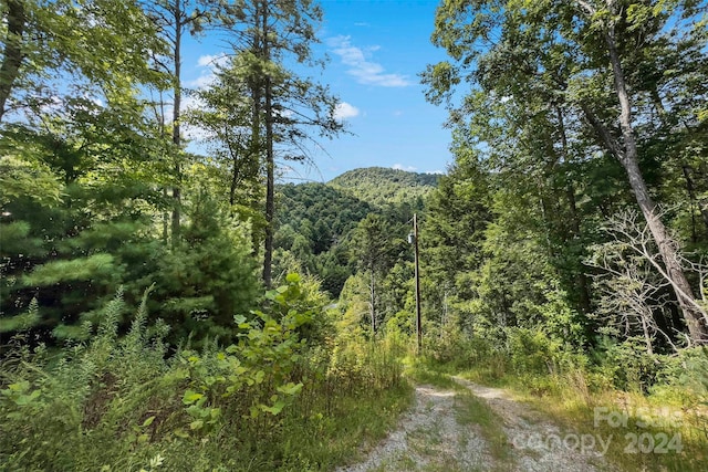 1265 Stackhouse Rd, Marshall, NC 28753 - photo 5