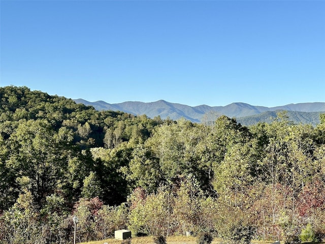 property view of mountains