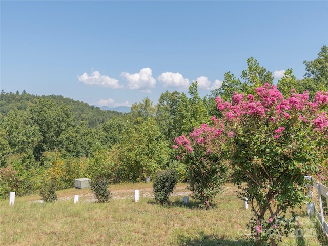 view of yard featuring a rural view