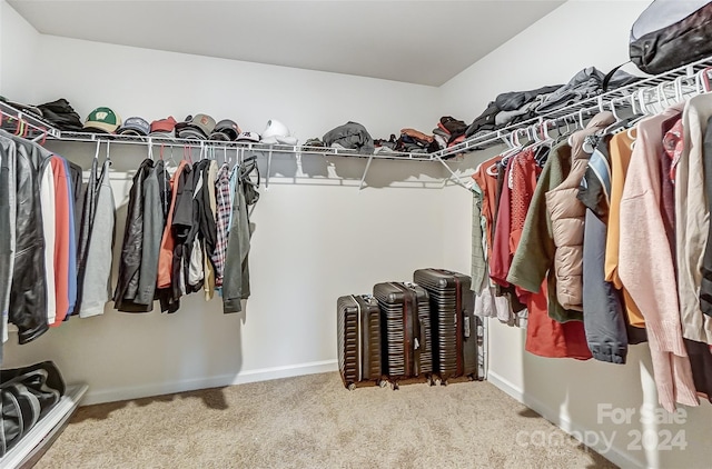 walk in closet featuring carpet