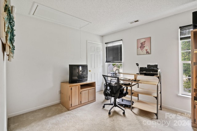 carpeted office with a textured ceiling and plenty of natural light