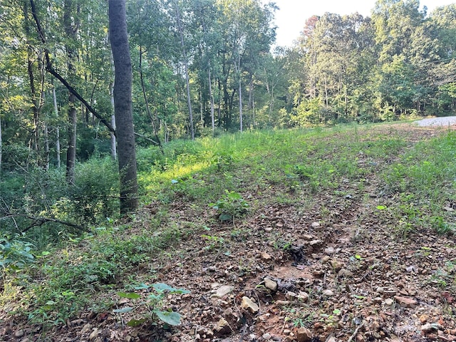 00 Sincerity Rd, Monroe, NC 28110 - photo 4