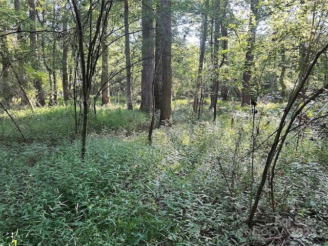 00 Sincerity Rd, Monroe, NC 28110 - photo 7