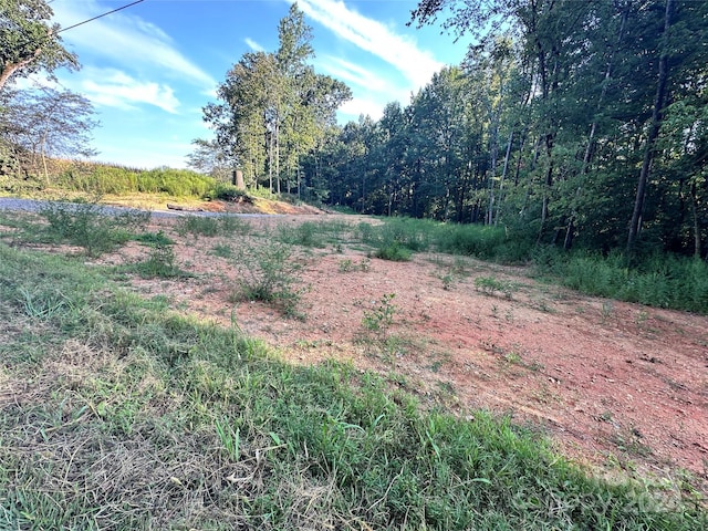 00 Sincerity Rd, Monroe, NC 28110 - photo 10