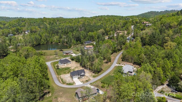 79 Crystal Mountain Dr, Hendersonville, NC 28739 - photo 31