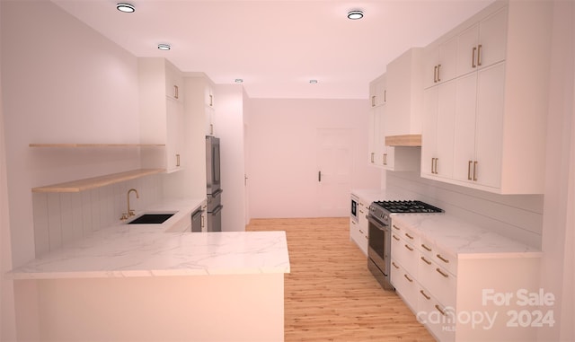 kitchen with light wood-type flooring, backsplash, stainless steel appliances, and sink