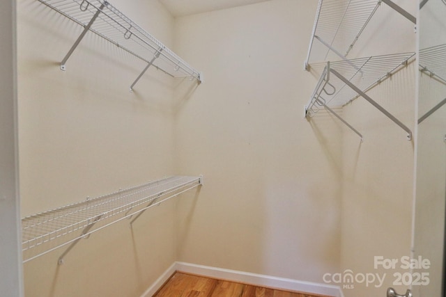 spacious closet featuring wood-type flooring