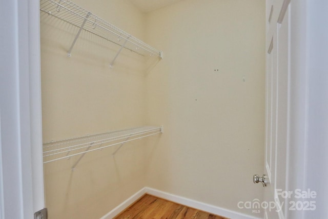 spacious closet featuring wood-type flooring