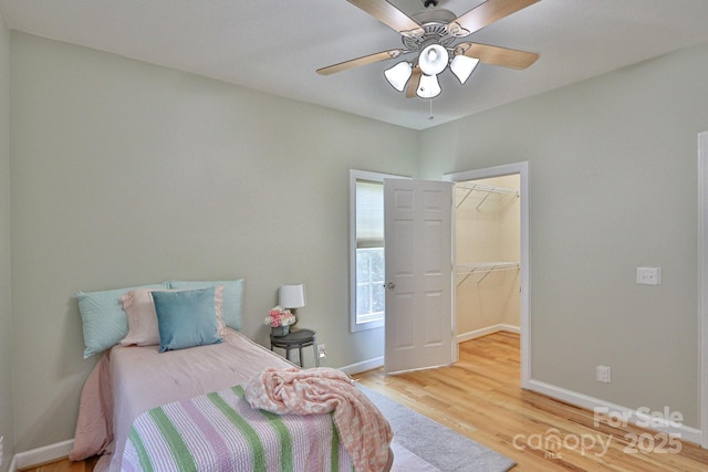 bedroom with ceiling fan, light hardwood / wood-style floors, a spacious closet, and a closet