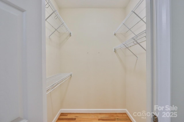 spacious closet featuring wood-type flooring