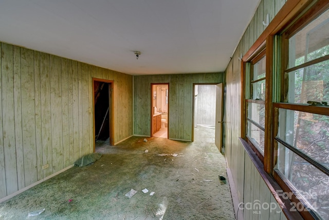 spare room with a healthy amount of sunlight, carpet, and wood walls