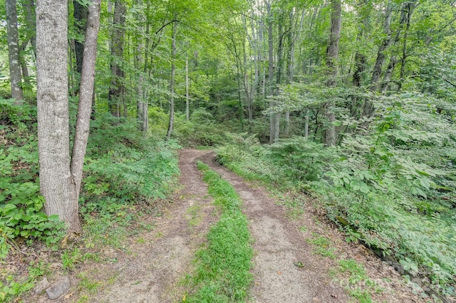 view of street with a forest view
