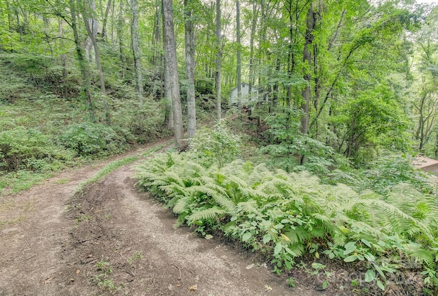 view of landscape featuring a view of trees
