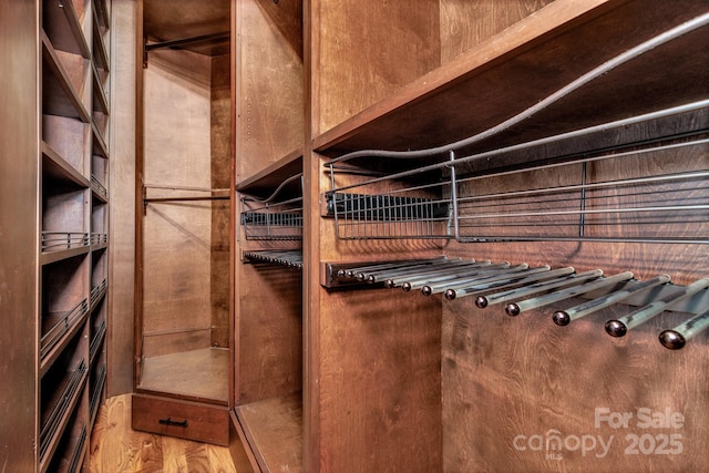 walk in closet featuring hardwood / wood-style flooring