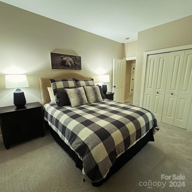 carpeted bedroom featuring a closet