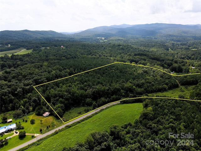 5157 Rhoney Rd, Connelly Springs, NC 28612