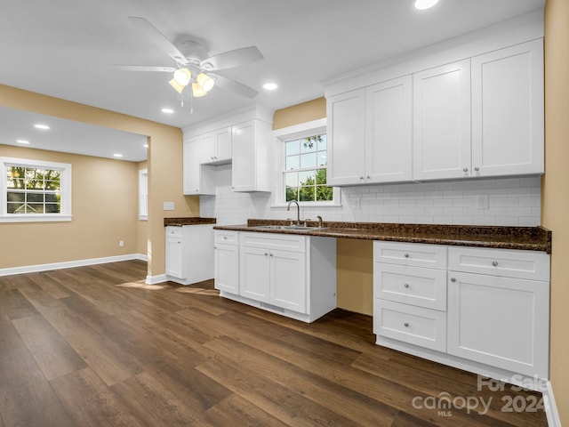 kitchen featuring plenty of natural light, ceiling fan, sink, and dark hardwood / wood-style flooring