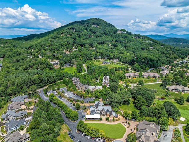 bird's eye view with a mountain view