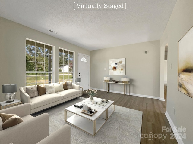 living room featuring hardwood / wood-style flooring and a textured ceiling