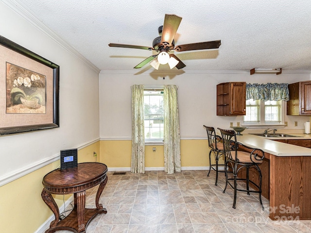 dining area featuring ceiling fan, a textured ceiling, plenty of natural light, and ornamental molding