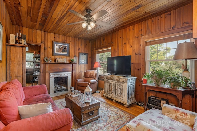 living room with wood walls, wooden ceiling, ceiling fan, a high end fireplace, and light hardwood / wood-style floors