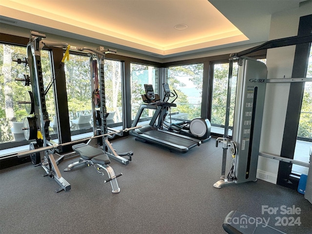 gym with a tray ceiling