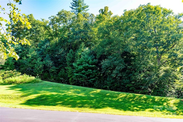 108 Morning Air Ln, Hendersonville, NC 28792 - photo 2