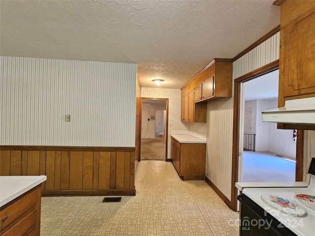 kitchen featuring wooden walls, light carpet, and a textured ceiling