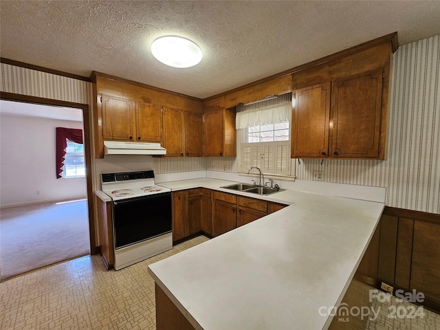 kitchen featuring light colored carpet, sink, white range with electric stovetop, kitchen peninsula, and a textured ceiling