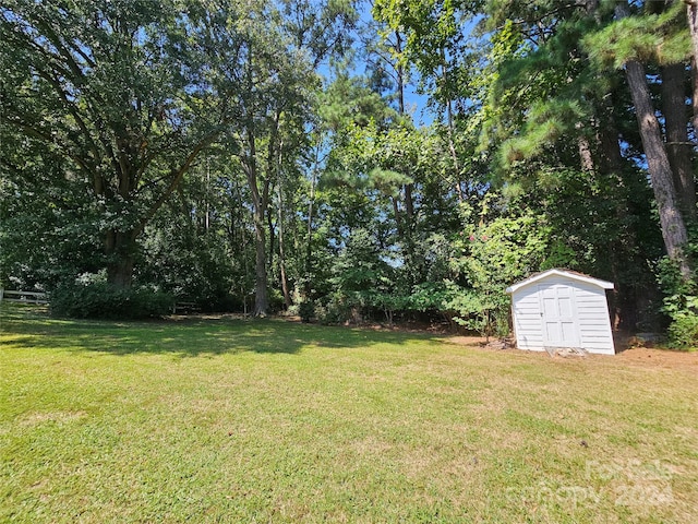 view of yard with a shed