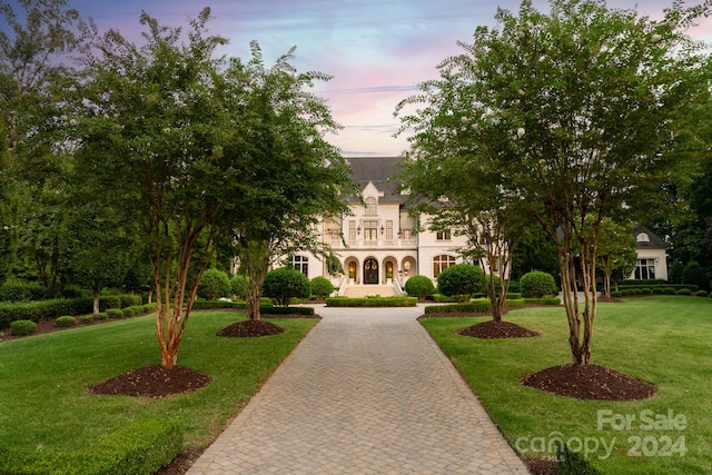 view of front of property with a yard