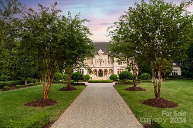 view of front facade featuring a front lawn and curved driveway