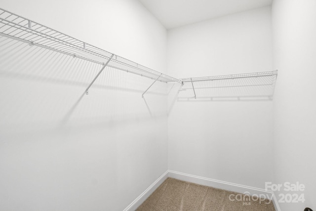 spacious closet featuring light carpet