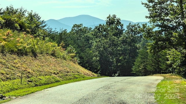 313 Willow Top Ln, Lake Lure NC, 28746 land for sale