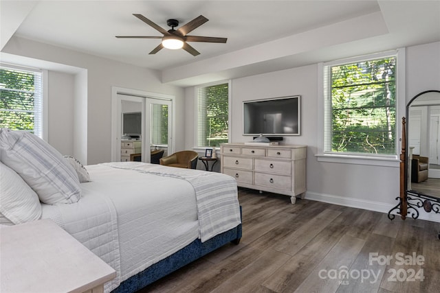 bedroom with multiple windows, a closet, ceiling fan, and dark hardwood / wood-style floors