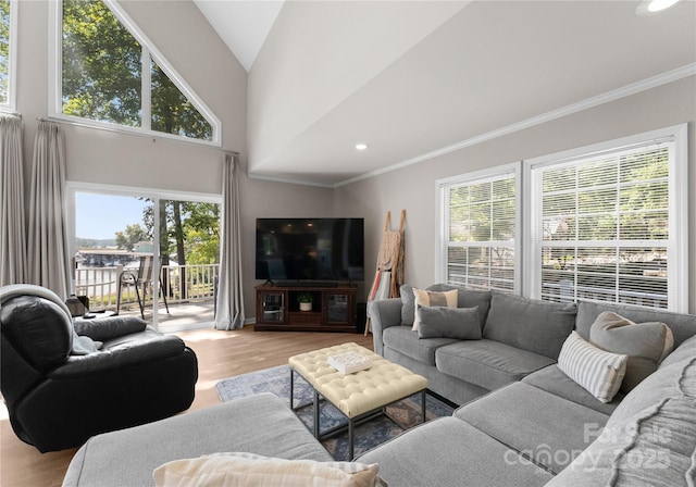 living room featuring light hardwood / wood-style floors, lofted ceiling, and crown molding