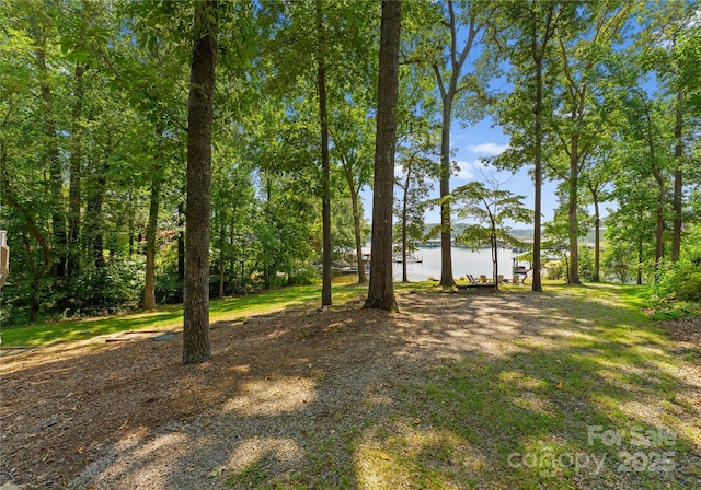 view of yard with a water view