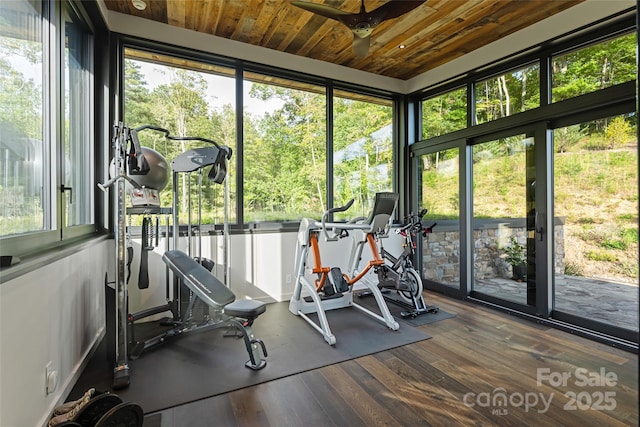 workout room with wooden ceiling, a healthy amount of sunlight, hardwood / wood-style floors, and ceiling fan