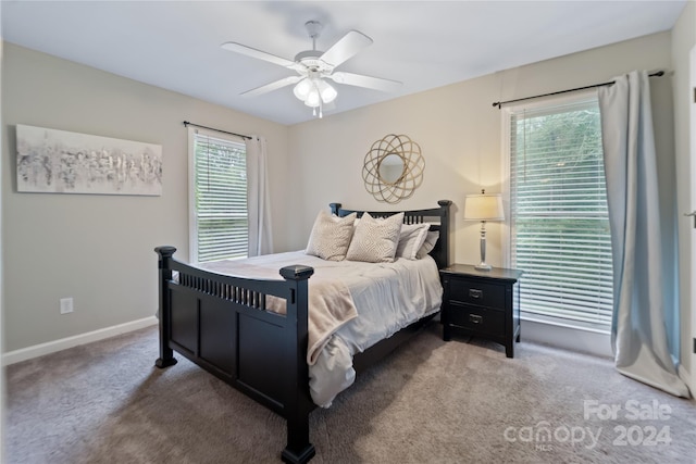 10235 Mount Holly Rd, Charlotte, NC 28214 - carpeted bedroom with ceiling fan