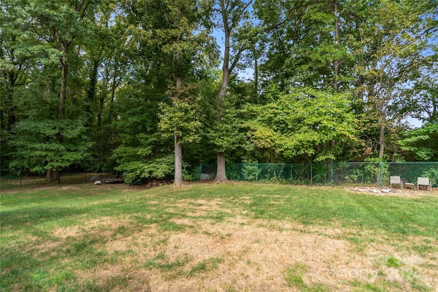 10235 Mount Holly Rd, Charlotte, NC 28214 - view of yard
