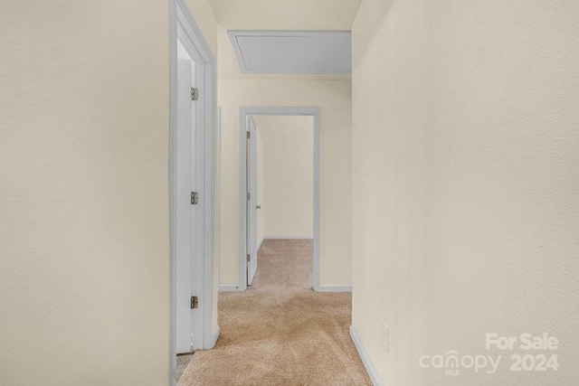 corridor with light colored carpet