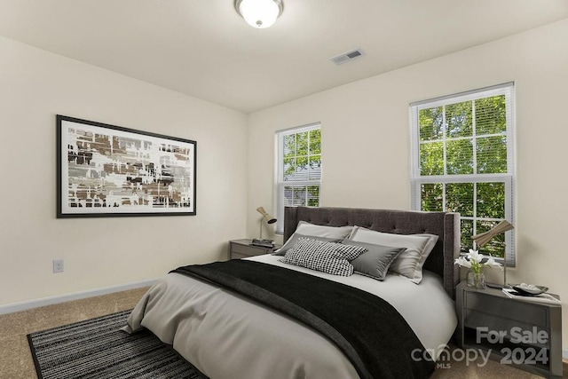 bedroom featuring carpet flooring and multiple windows