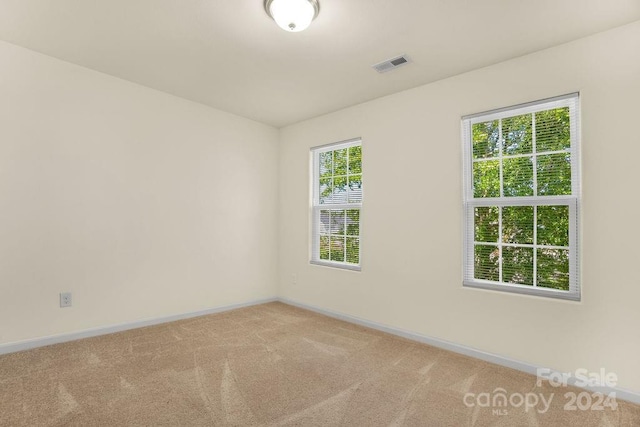 spare room featuring plenty of natural light and light carpet