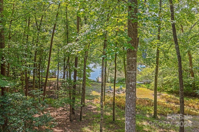 view of nature with a wooded view