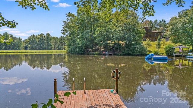 dock with a water view